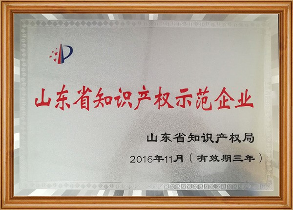 山東省知識產(chǎn)權(quán)示范企業(yè)